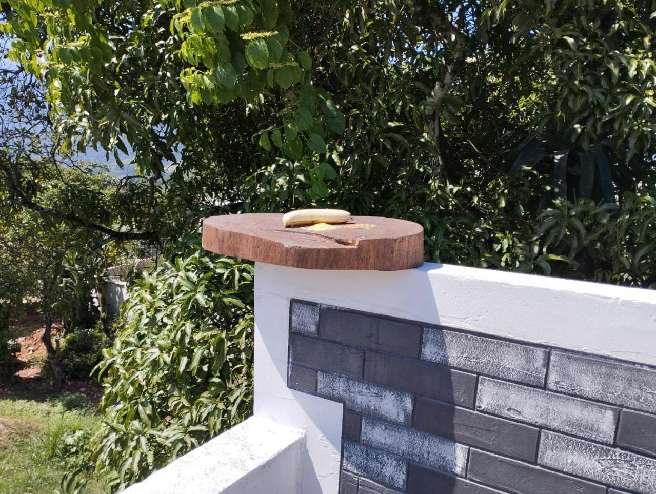 Casa Com Vista Mar, Piscina Privativa, Wi-fi, Churrasqueira E Mesa De Bilhar Holiday home Ilhabela